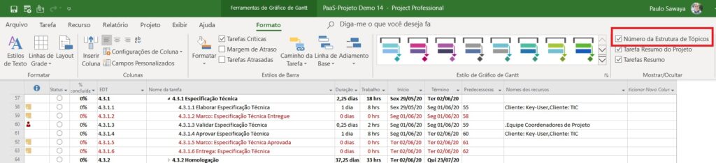 Como Estruturar as Entregas de Projetos e Programas